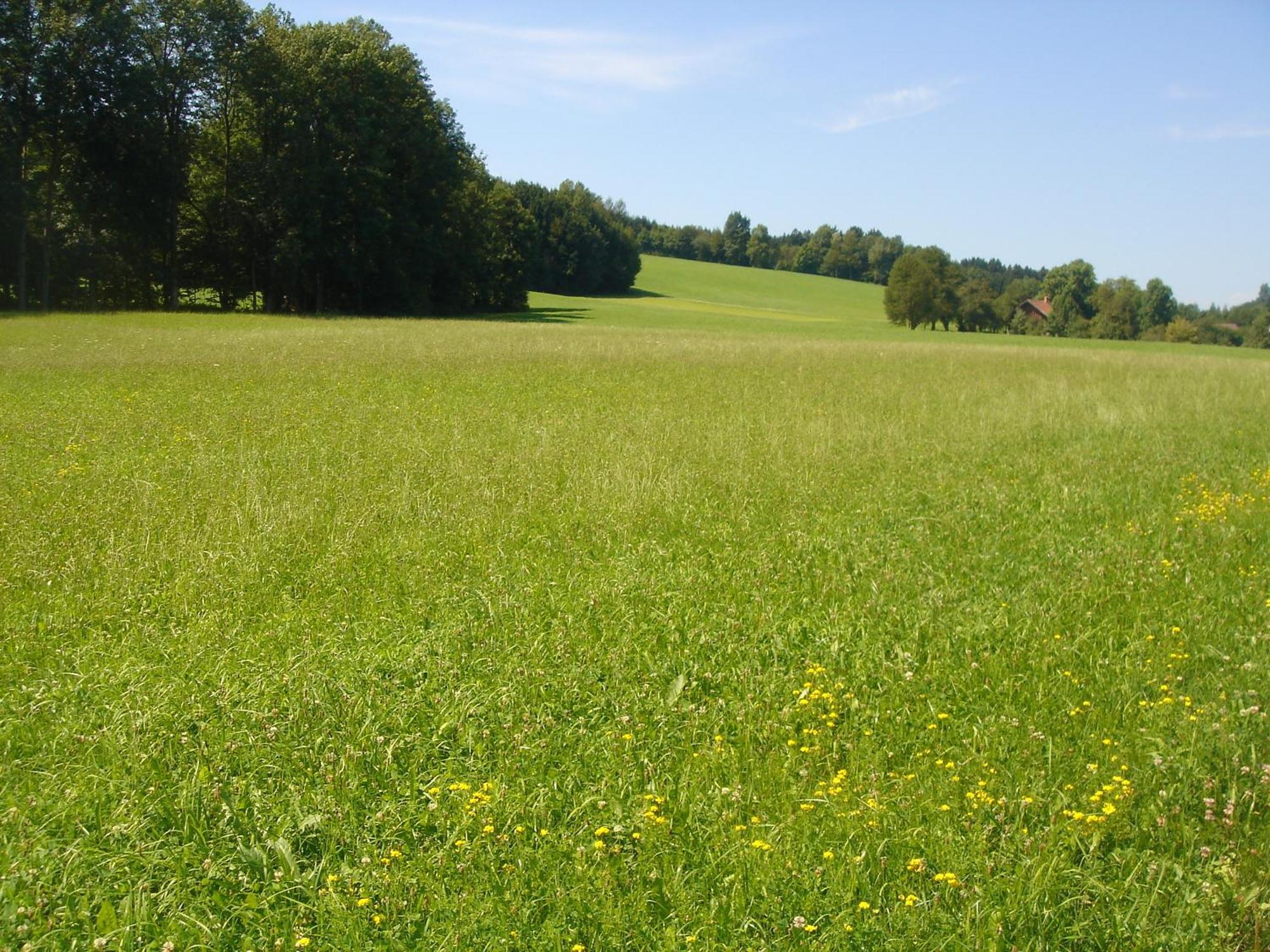 Kaltenleitner * Weissenkirchen im Attergau
