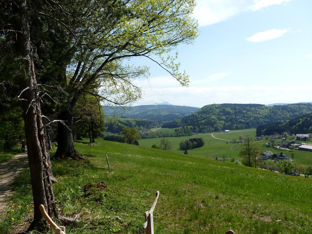 Kaltenleitner Weissenkirchen im Attergau