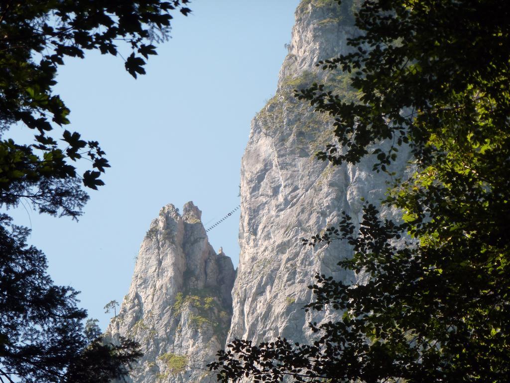 Kaltenleitner Weissenkirchen im Attergau