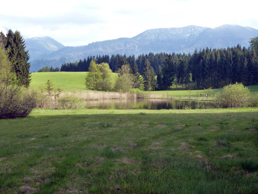 Kaltenleitner Apartment Weissenkirchen im Attergau