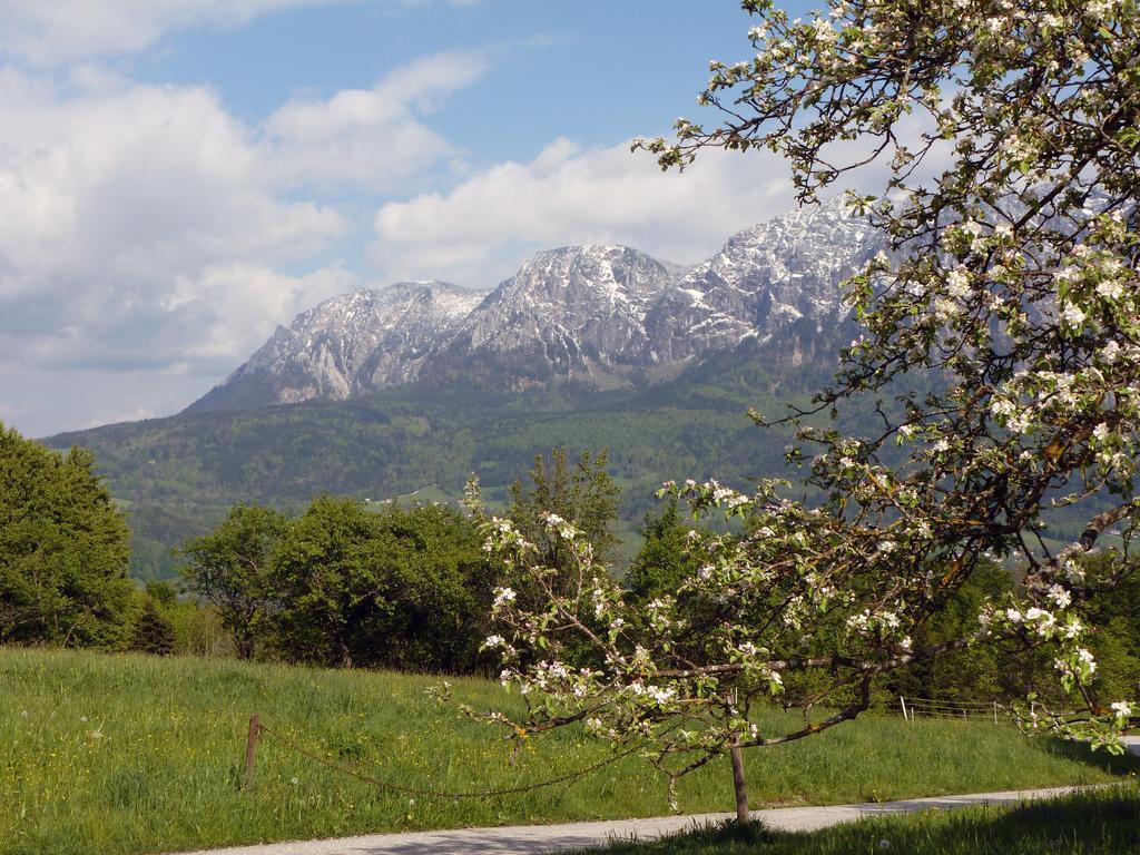 Kaltenleitner Appartement