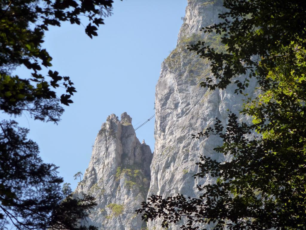 Apartment Kaltenleitner Weissenkirchen im Attergau