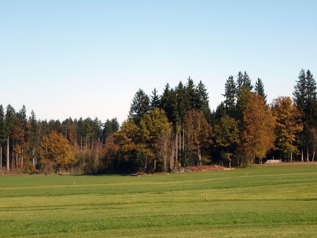 Kaltenleitner *